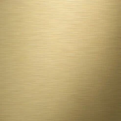 Tiger Tune Toiletborstelhouder Geborsteld Messing/mat Zwart -Badkamer Winkel 123 2067