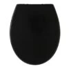 Tiger WC Bril Aiden Zwart Kunststof Met Softclose -Badkamer Winkel 123 2854