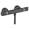 Hansgrohe Thermostatische Douchekraan EcoStat Comfort Zwart -Badkamer Winkel 123 298