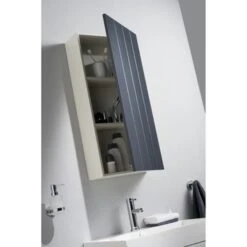 Haceka Mix&match Kastdeur Antraciet 80x40 Cm -Badkamer Winkel 123 2985