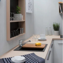 Hansgrohe Keukenkraan Focus M43 Met Hendel Chroom 100 -Badkamer Winkel 123 3486