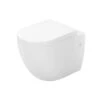 Atlantic Vermont WC Pack -Badkamer Winkel 123 353