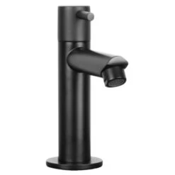 Differnz Fonteinkraan Recht Mat Zwart 10 Differnz Fonteinkraan Recht Mat Zwart -Badkamer Winkel 123 3647