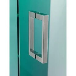 Sealskin Douchecabine Met Swingdeur I AM 100x200 Cm RVS -Badkamer Winkel 123 4314